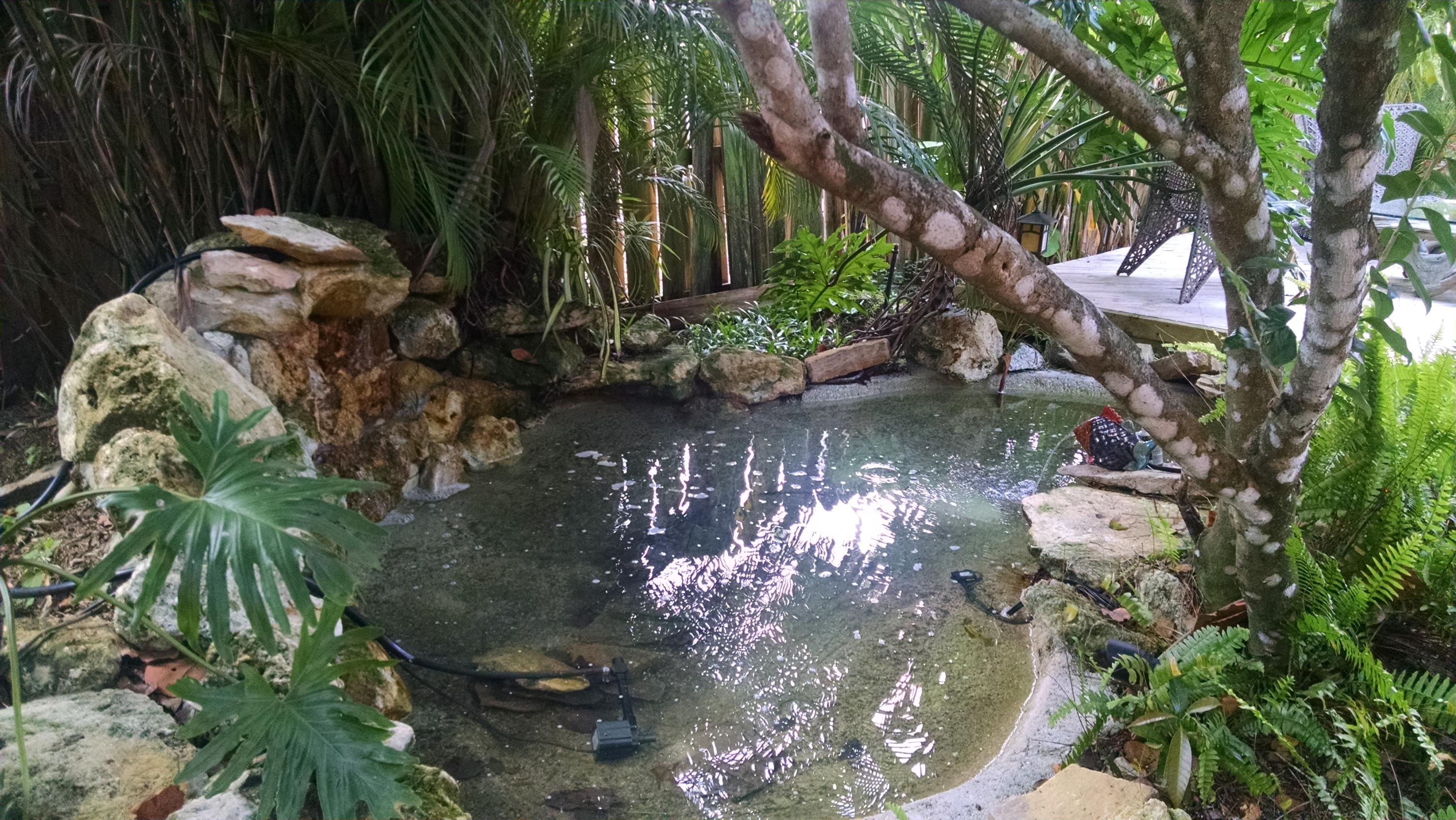 802 Upland Road West Palm Beach, FL 33401 - Photo 11 of 19 IMG_20150512_163708726