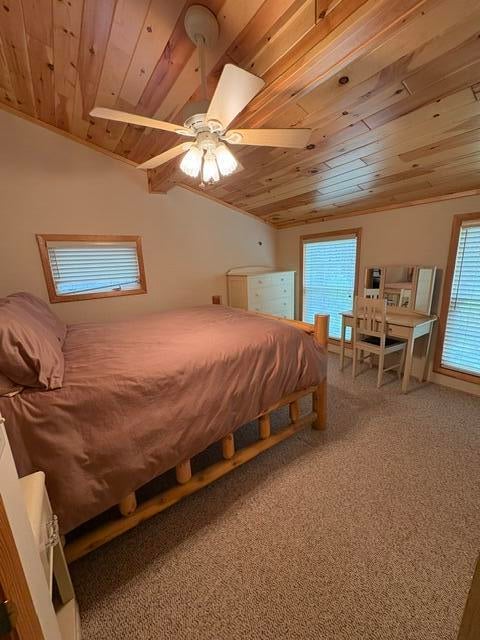 719 Ruth Road Lewiston, MI 49756 - Photo 13 of 18 IMG_0509