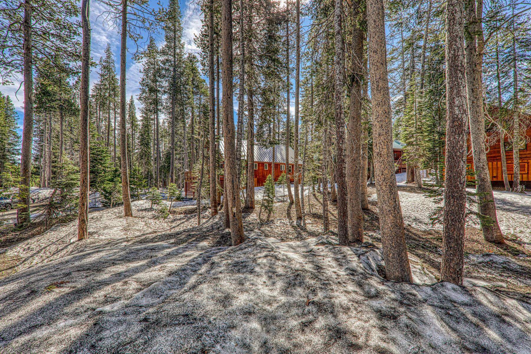 6194 Serene Road Soda Springs, CA 95724 - Photo 6 of 17