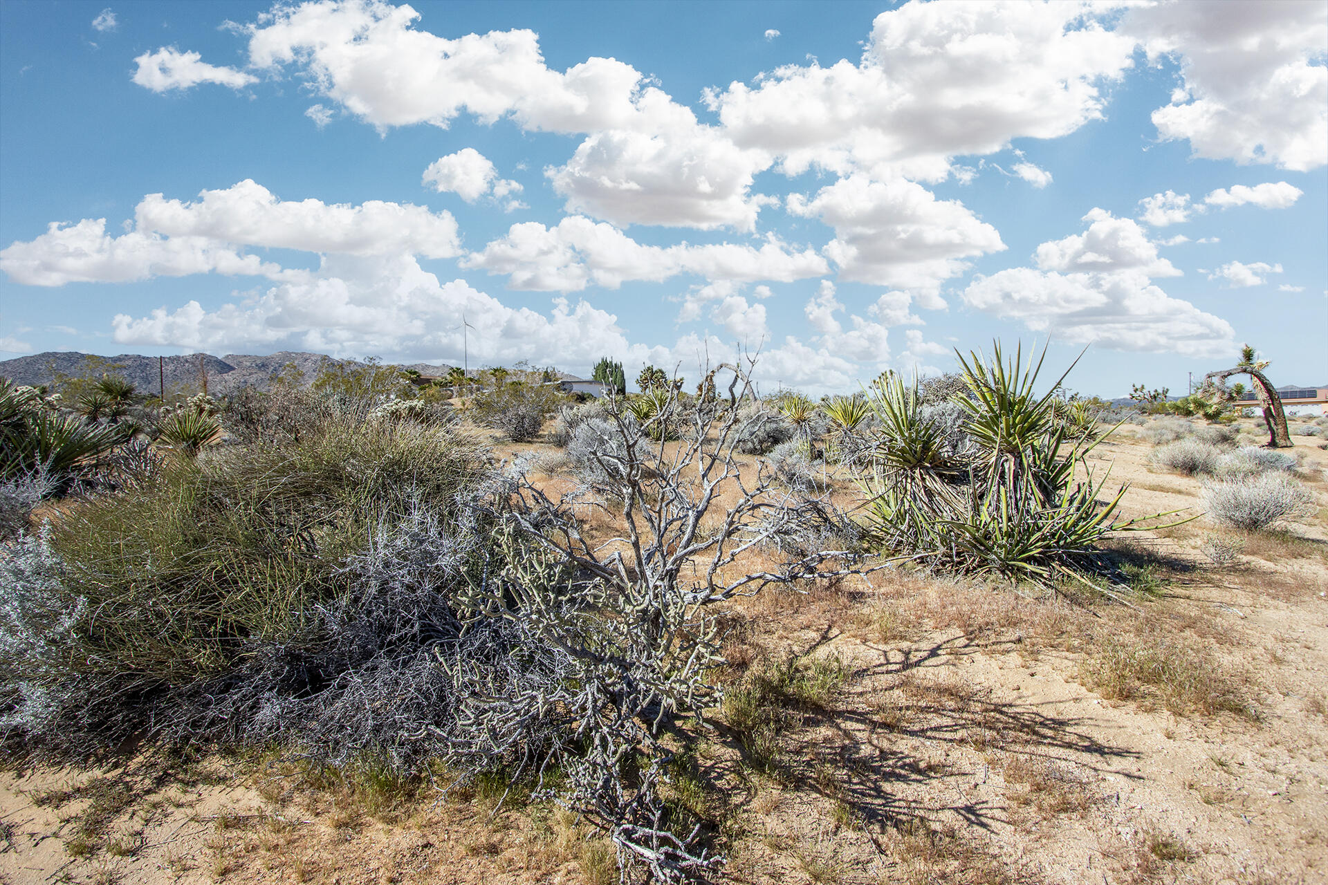 102 Saddleback Road Joshua Tree, CA 92252 - Photo 13 of 18 IMG_7718