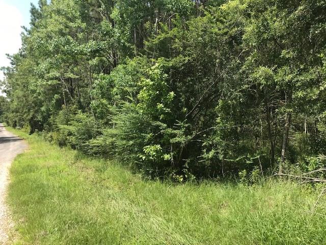 Flat Creek Ranch Road Deridder, LA 70634 - Photo 2 of 3