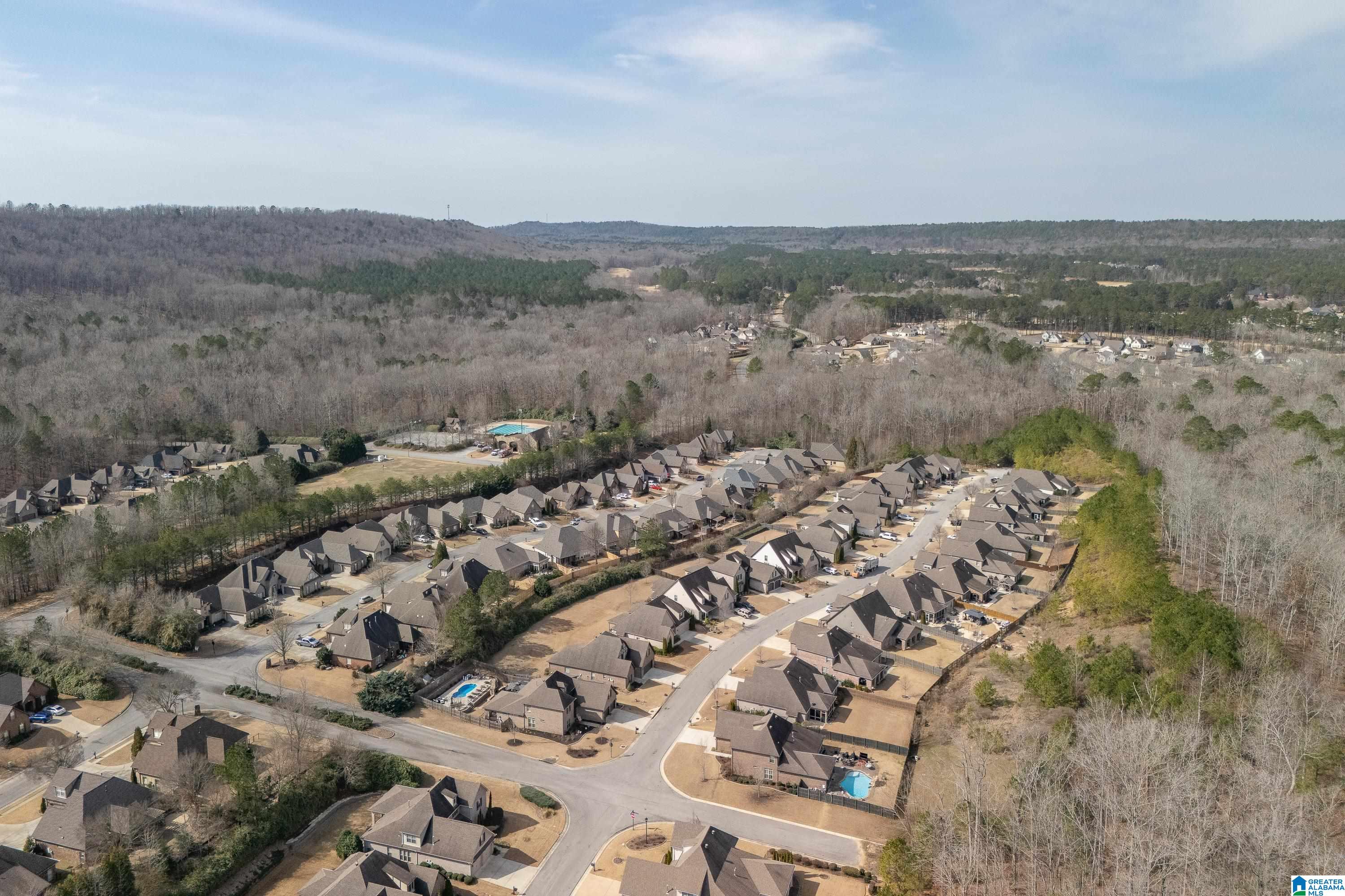 347 Strathaven Circle Pelham, AL 35124 - Photo 37 of 51
