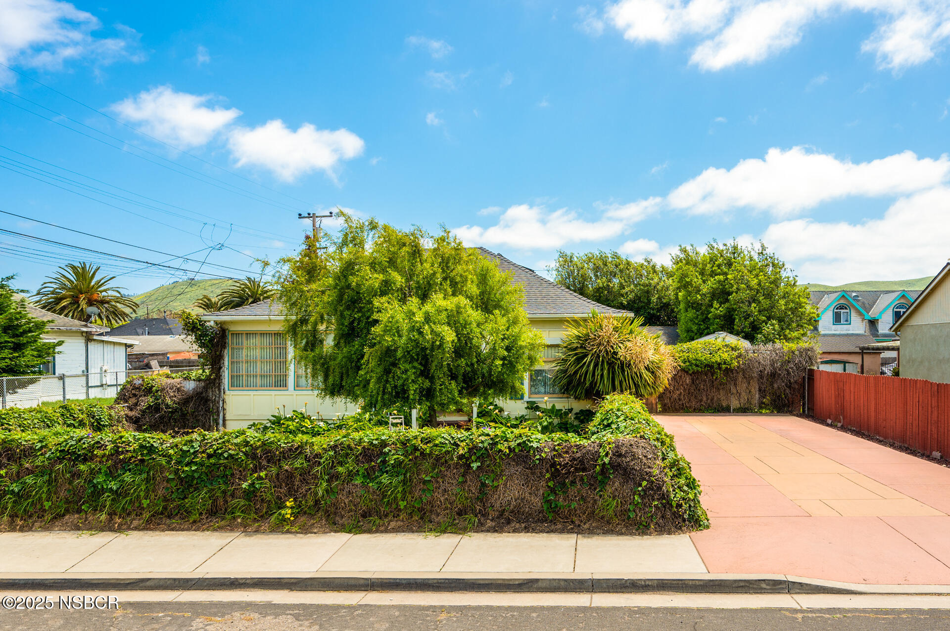 414 West Walnut Avenue Lompoc, CA 93436 - Photo 16 of 17 a view of a garden with potted plants