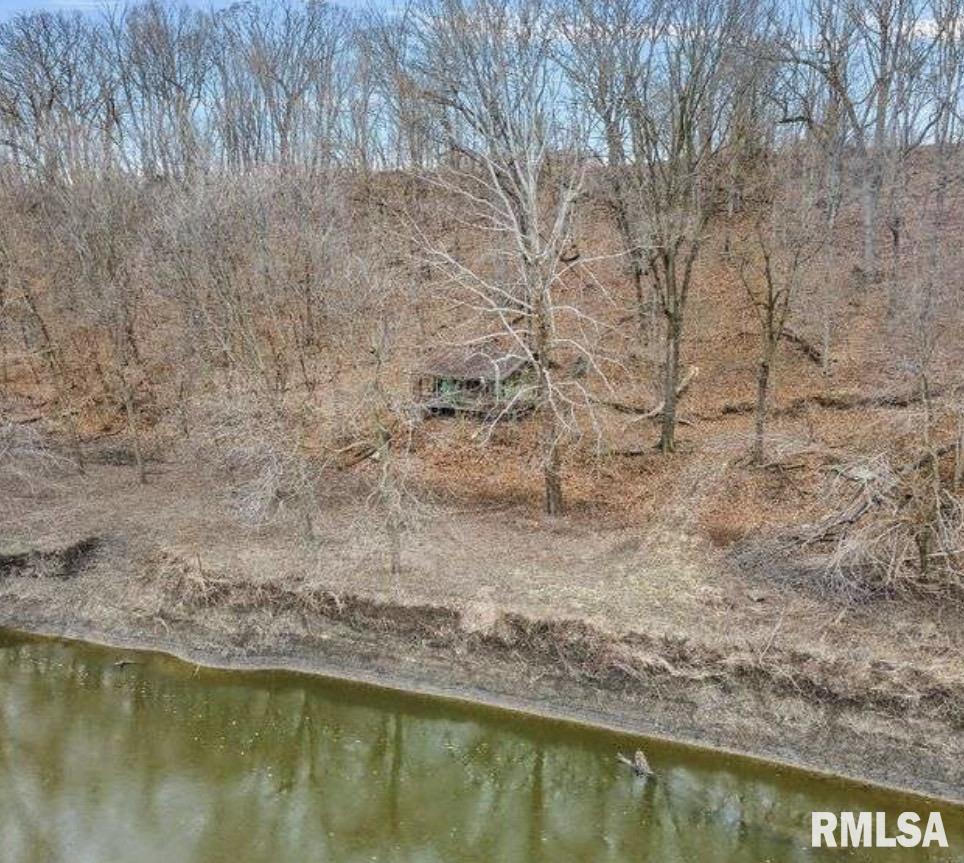 5002 Irwin Bridge Road Pleasant Plains, IL 62677 - Photo 13 of 15 Gallery Image 13