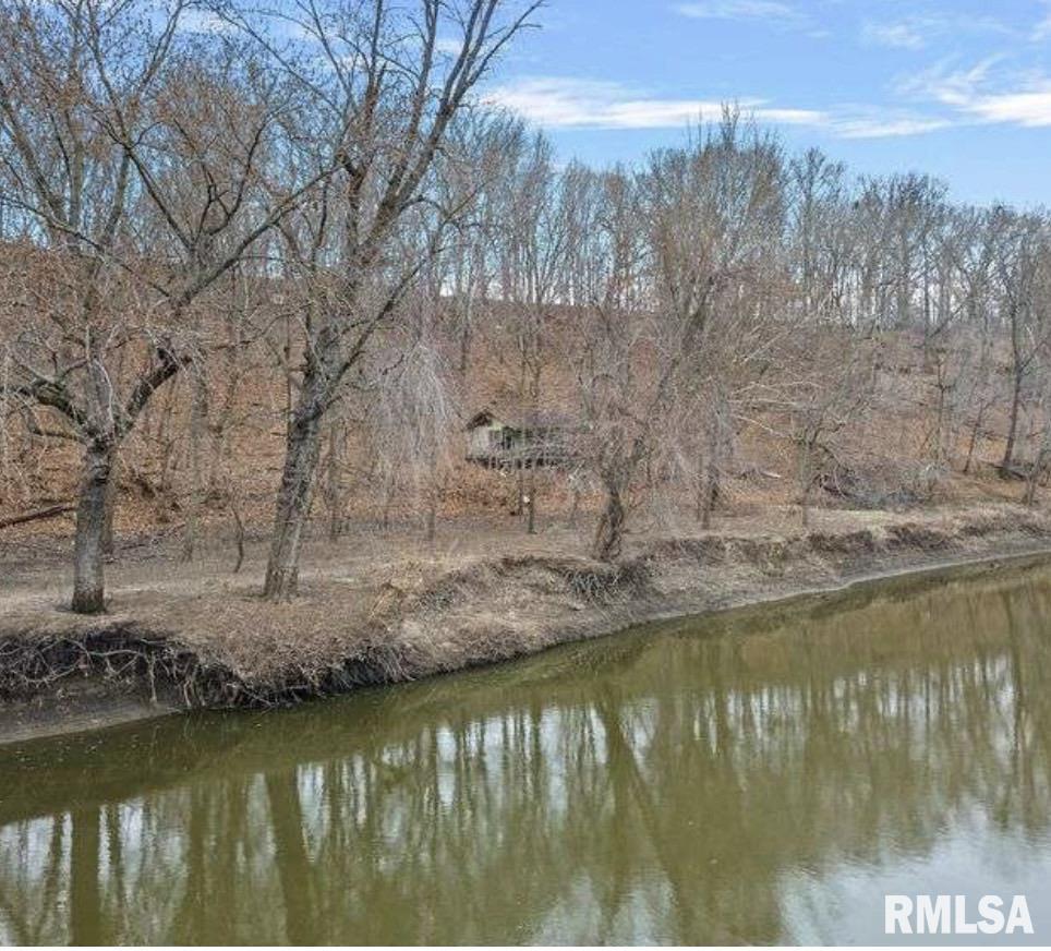5002 Irwin Bridge Road Pleasant Plains, IL 62677 - Photo 8 of 15 Gallery Image 8