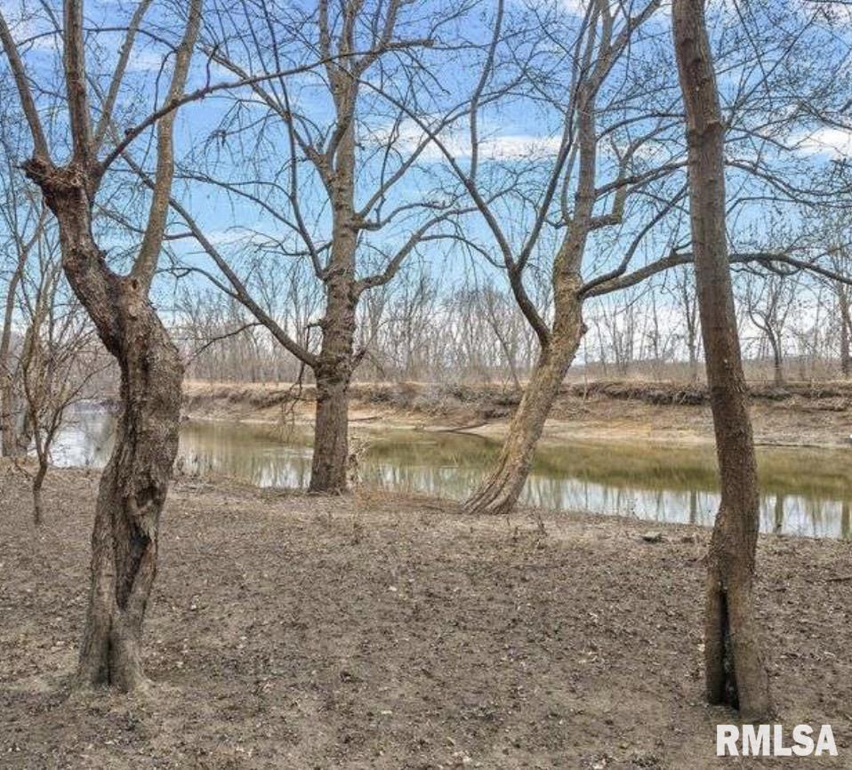 5002 Irwin Bridge Road Pleasant Plains, IL 62677 - Photo 9 of 15 Gallery Image 9