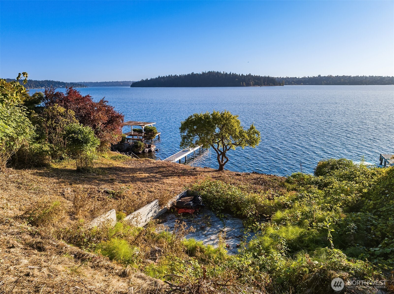 4045 West Mercer Way Mercer Island, WA 98040 - Photo 22 of 25 a view of a lake from a yard