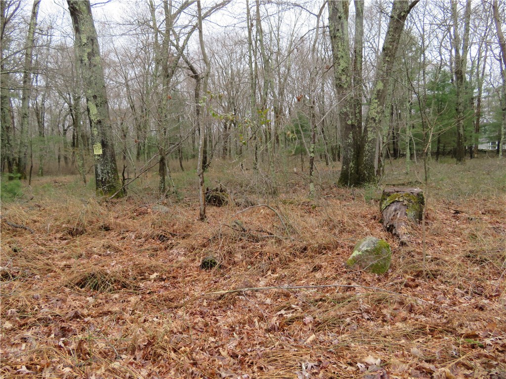 65 New Road Exeter, RI 02822 - Photo 2 of 6