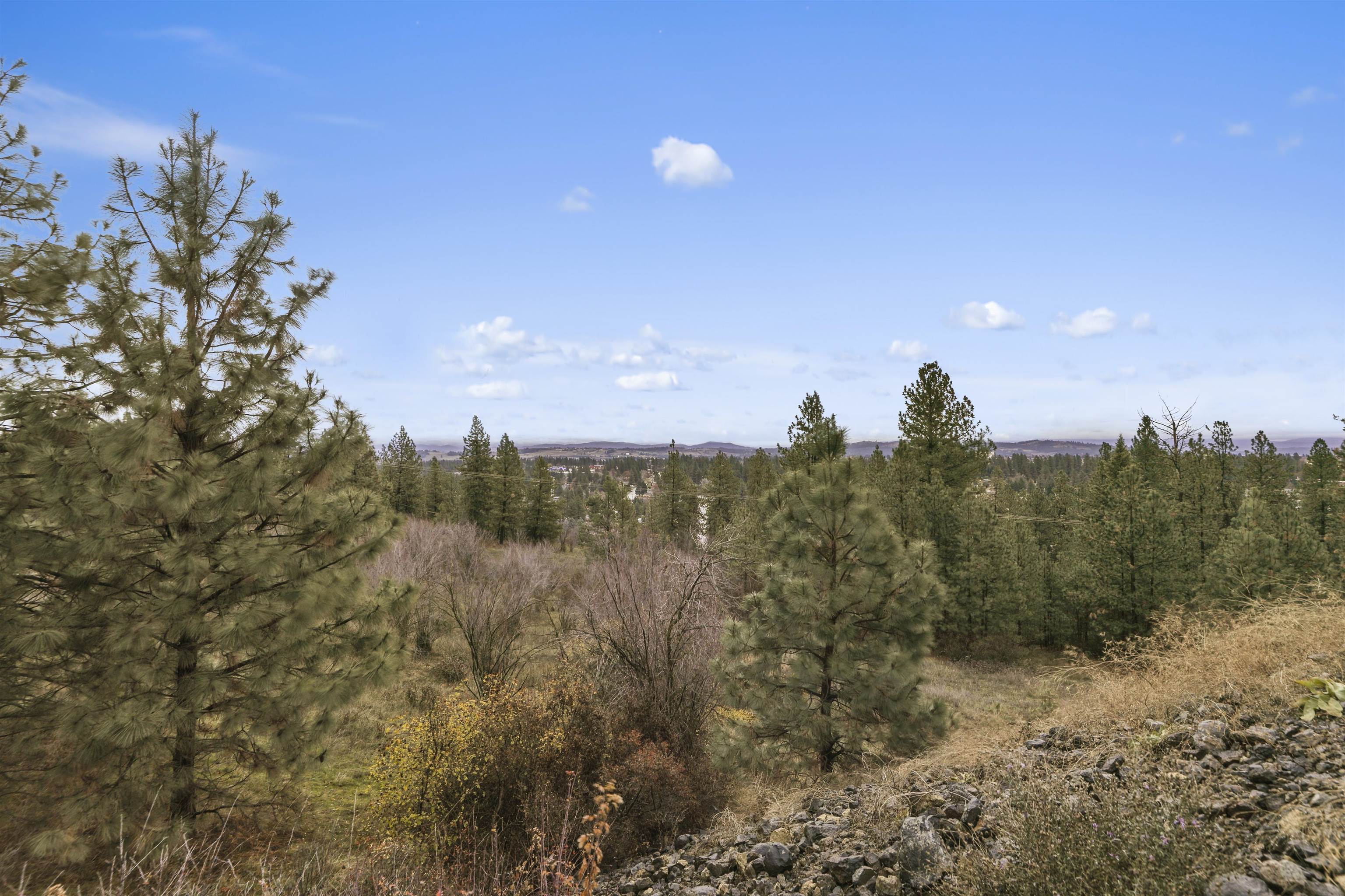 Xx North Cedar Road Spokane, WA 99208 - Photo 2 of 22 Gallery Image 2