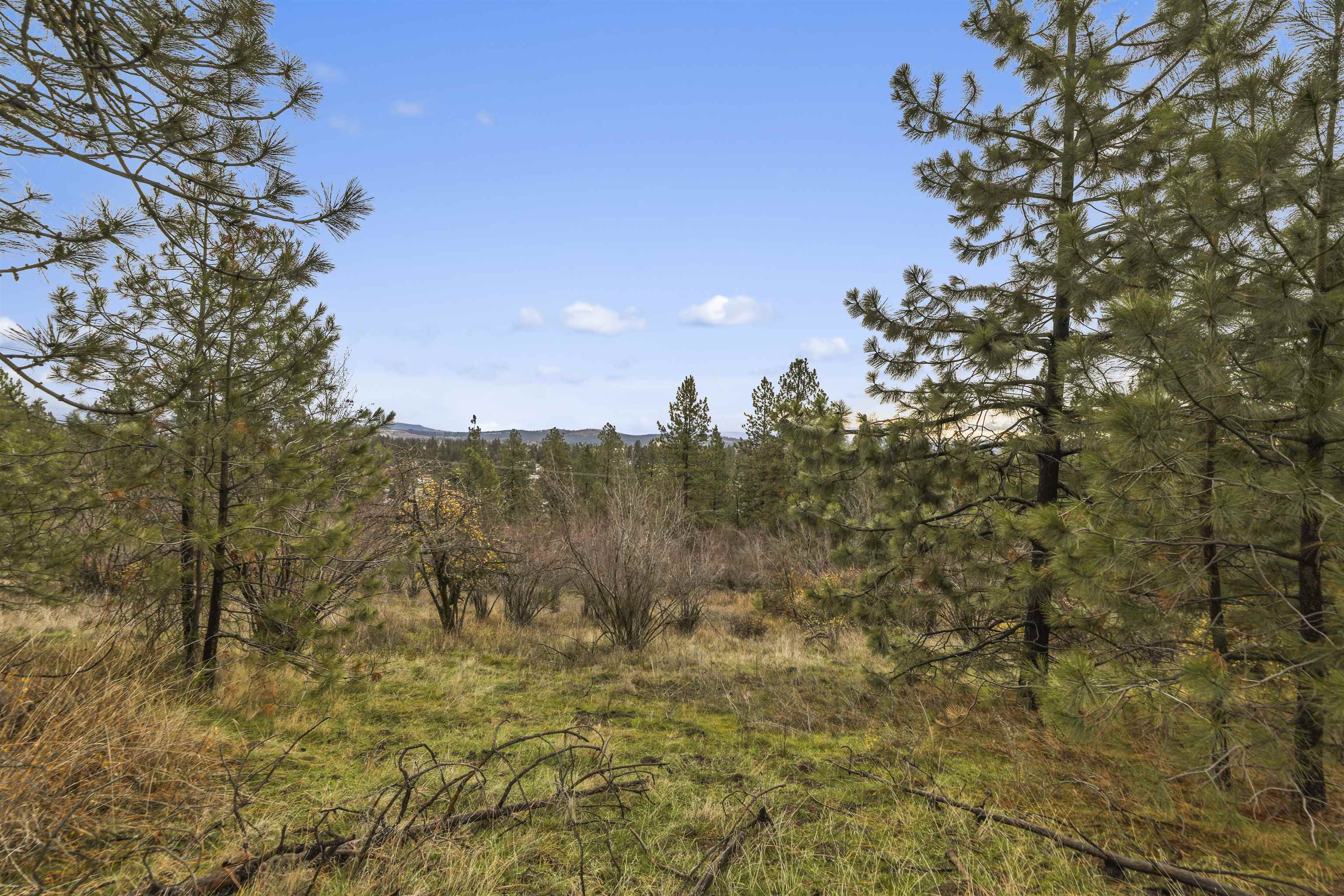 Xx North Cedar Road Spokane, WA 99208 - Photo 12 of 22 Gallery Image 12
