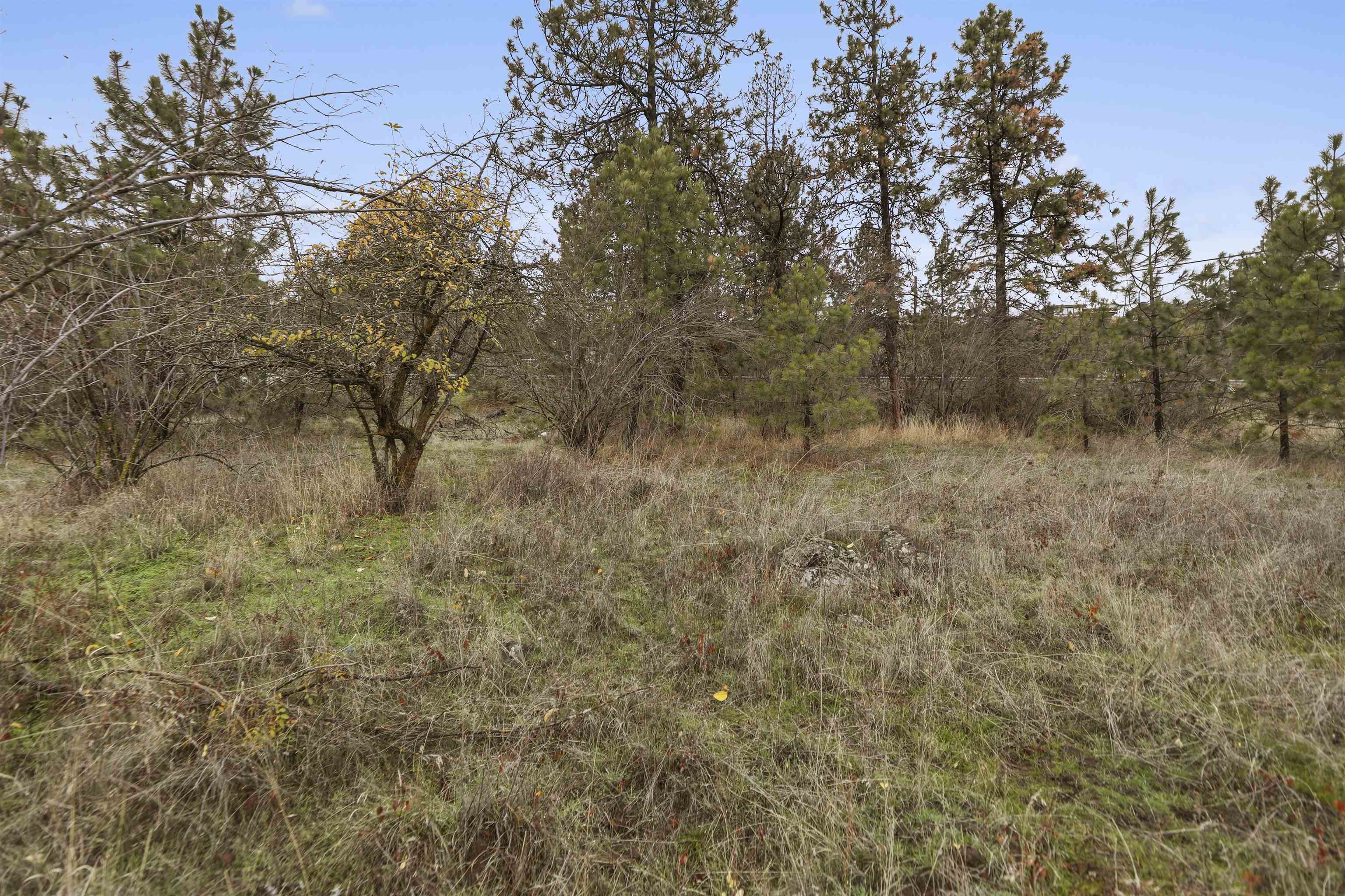 Xx North Cedar Road Spokane, WA 99208 - Photo 13 of 22 Gallery Image 13