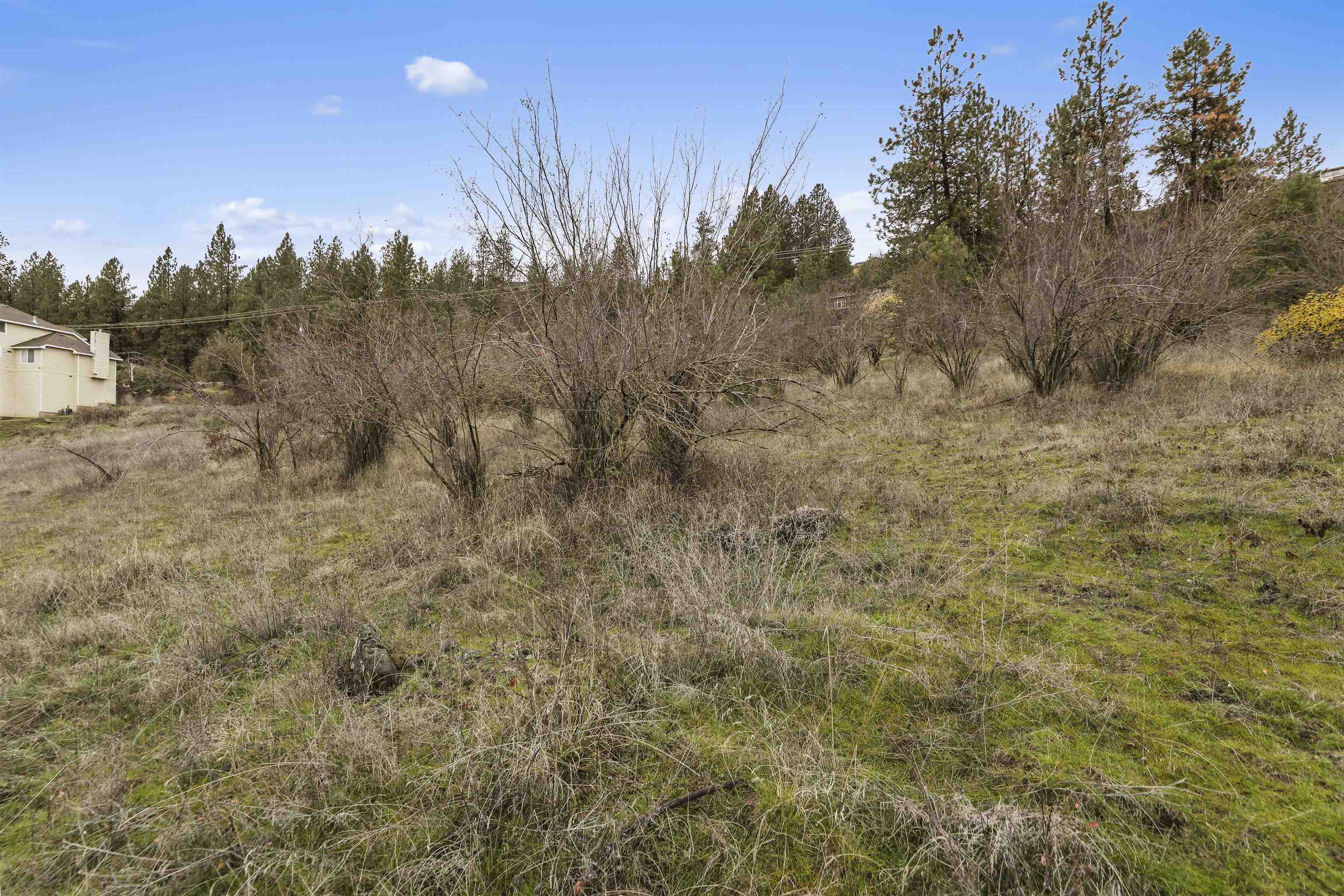 Xx North Cedar Road Spokane, WA 99208 - Photo 15 of 22 Gallery Image 15