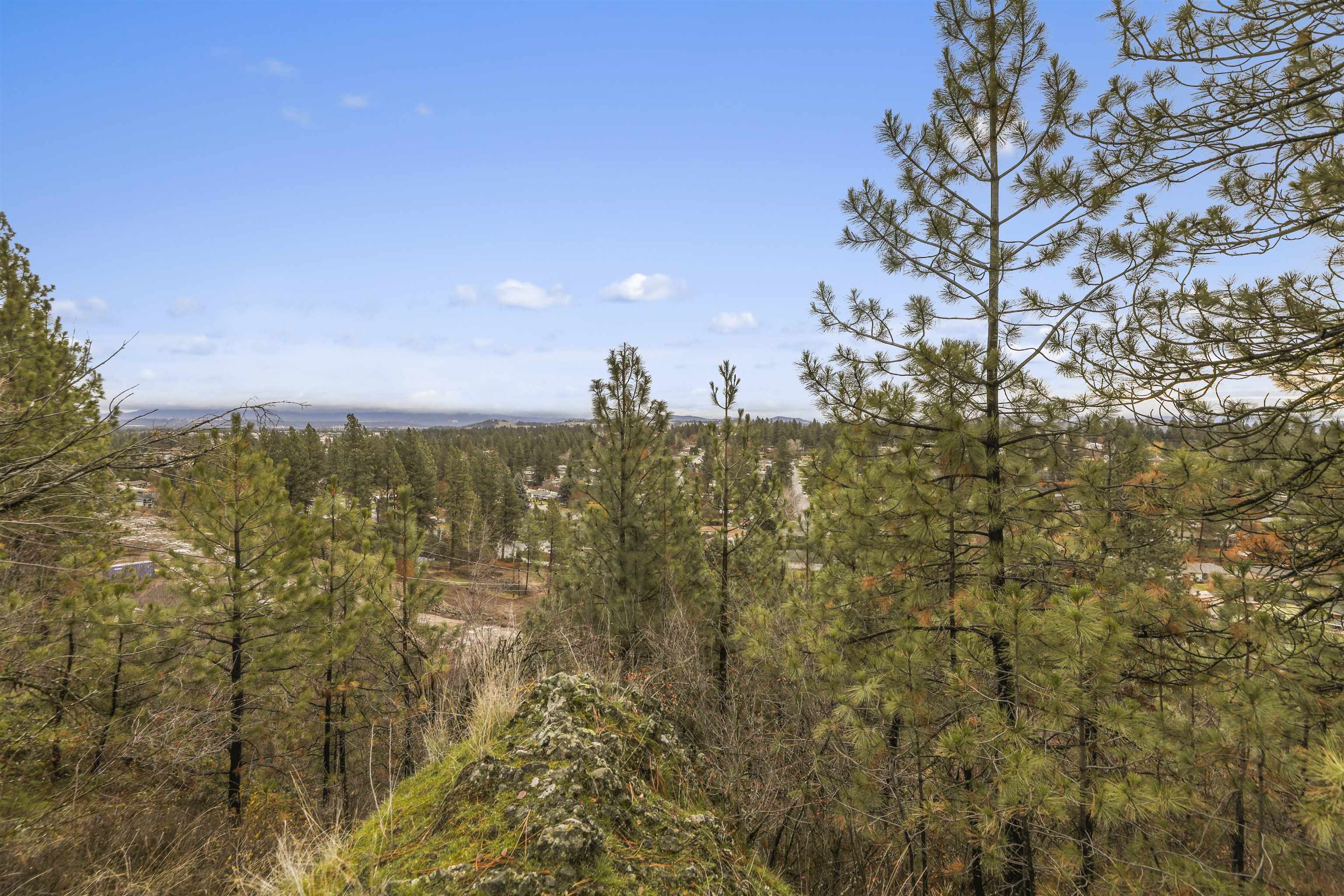 Xx North Cedar Road Spokane, WA 99208 - Photo 18 of 22 Gallery Image 18