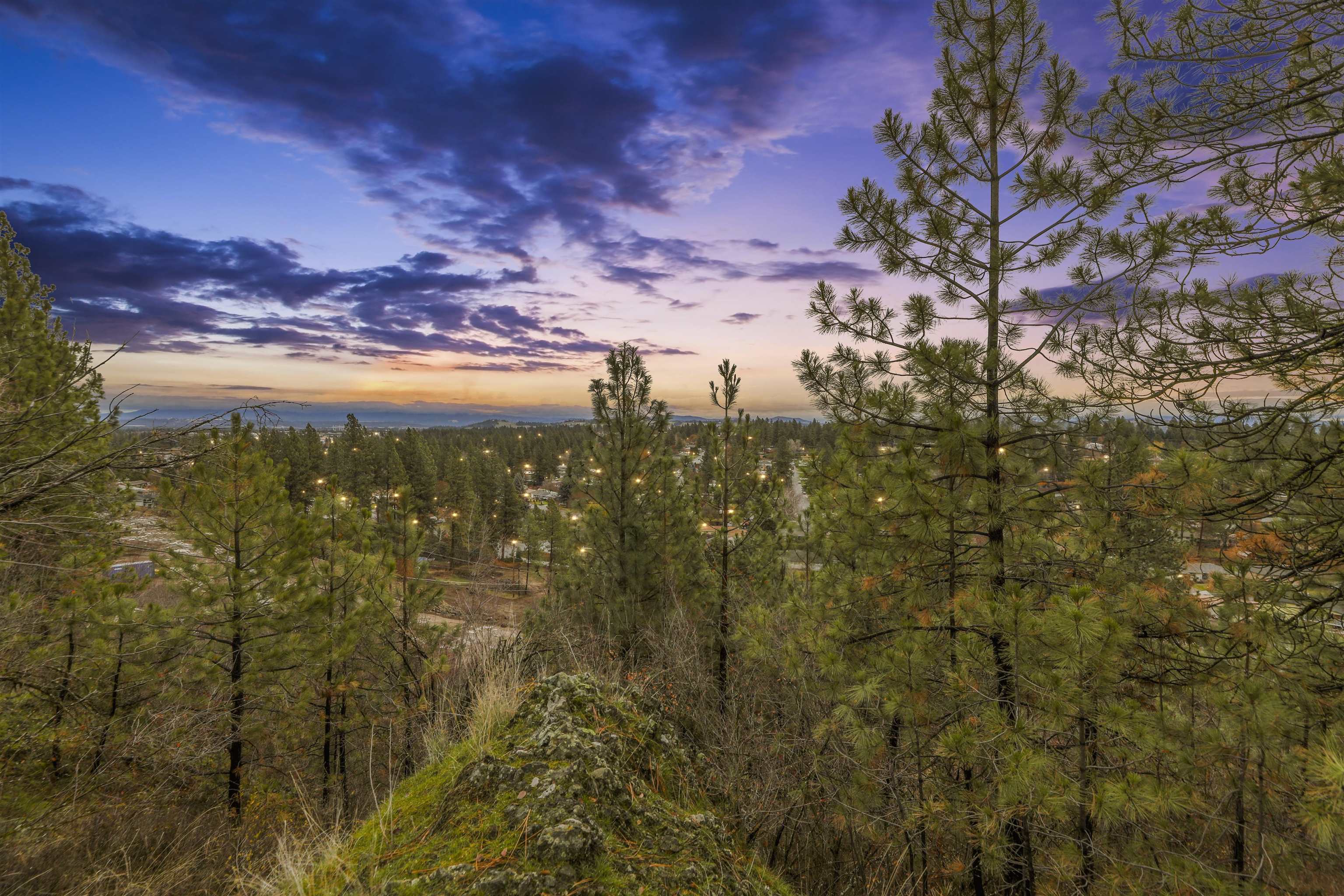 Xx North Cedar Road Spokane, WA 99208 - Photo 4 of 22 Gallery Image 4