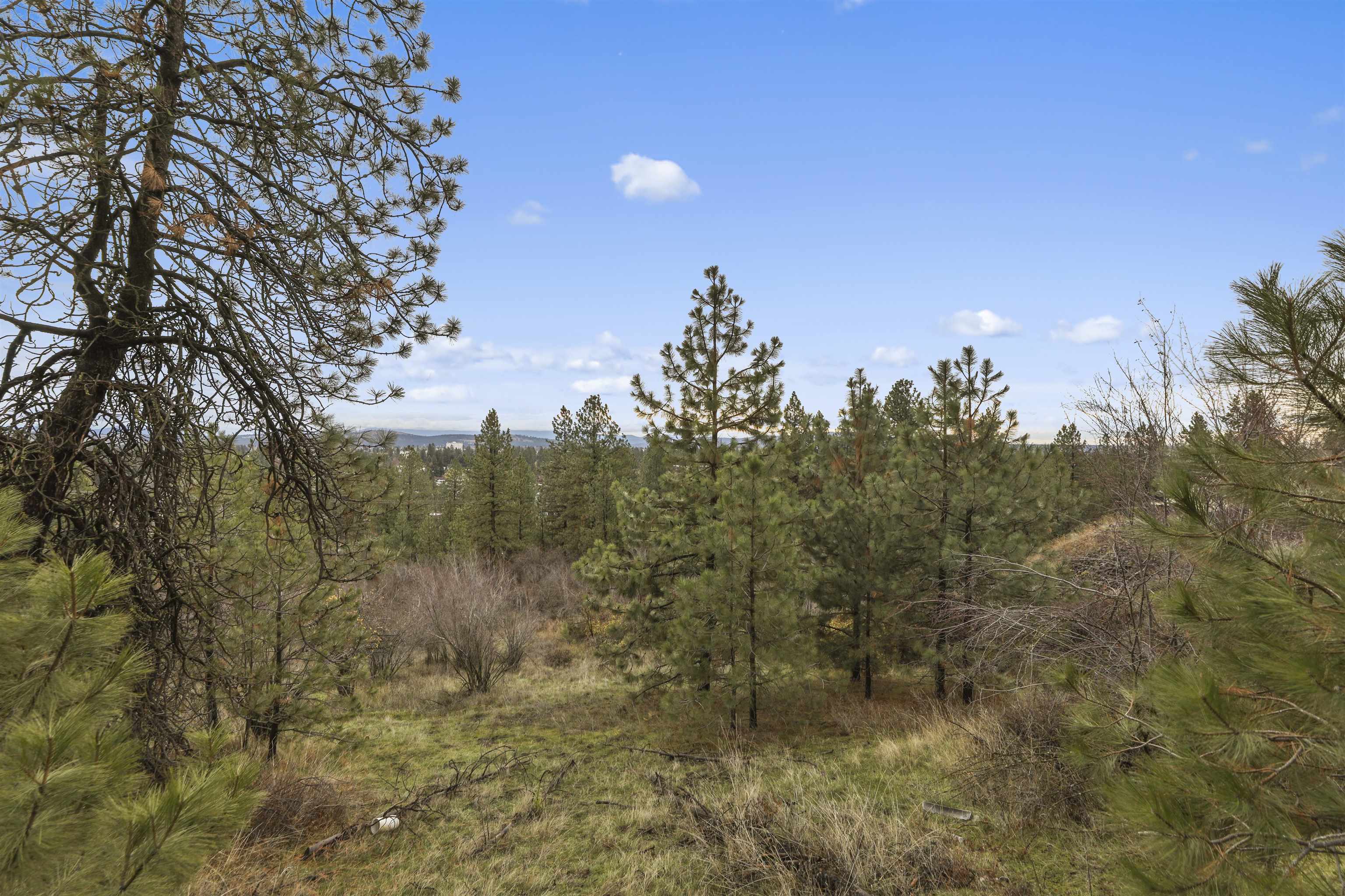 Xx North Cedar Road Spokane, WA 99208 - Photo 5 of 22 Gallery Image 5