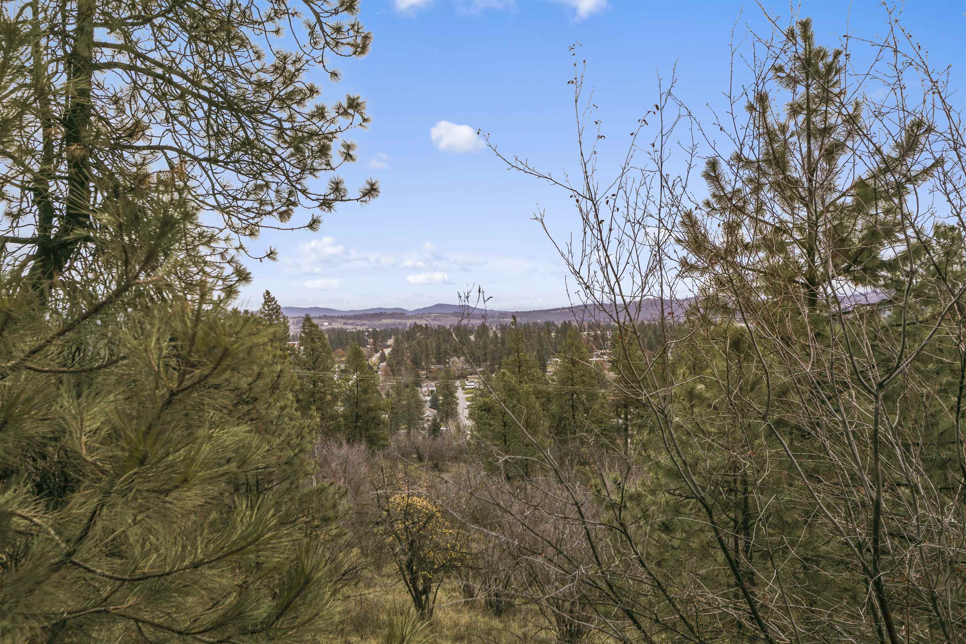 Xx North Cedar Road Spokane, WA 99208 - Photo 9 of 22 Gallery Image 9