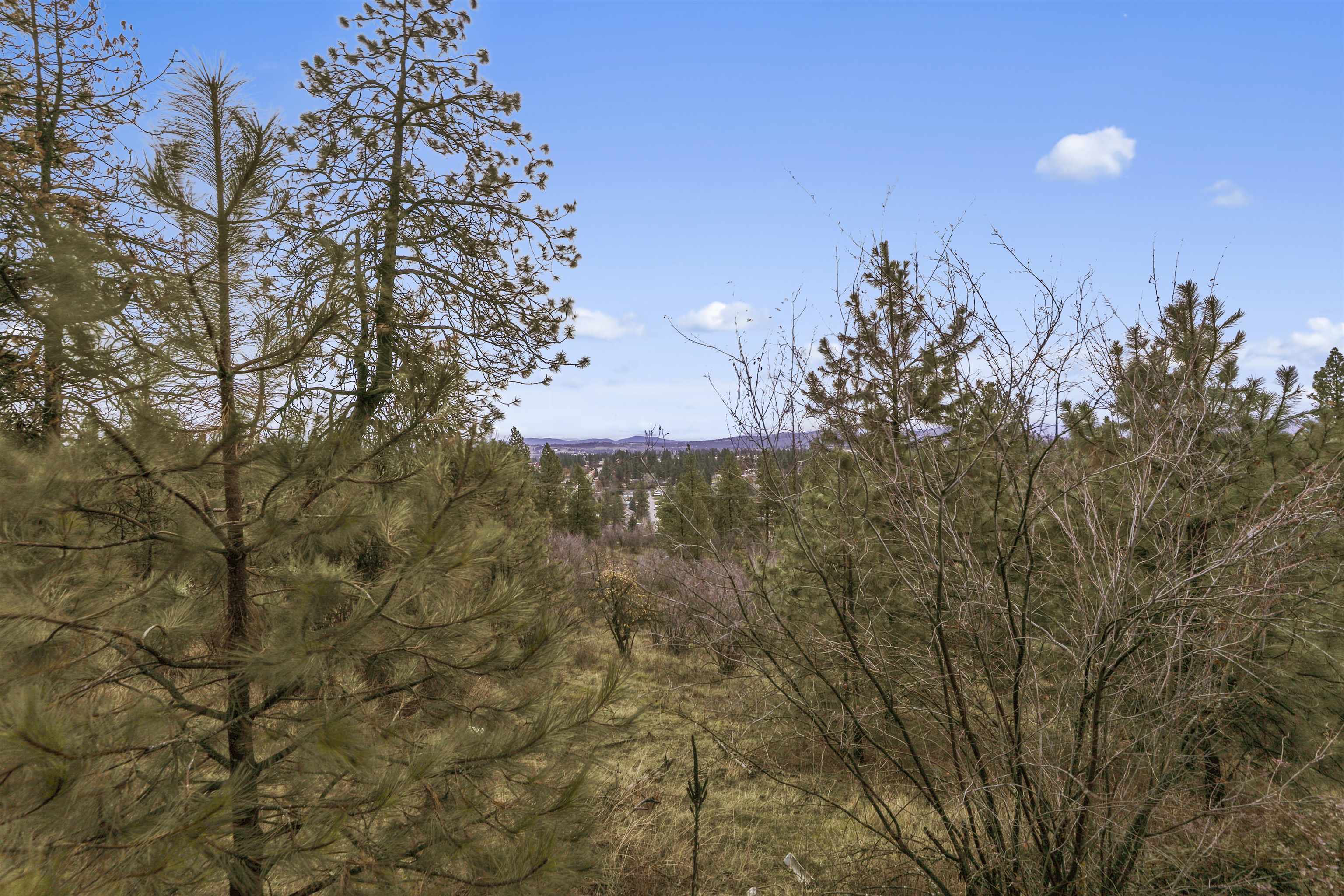 Xx North Cedar Road Spokane, WA 99208 - Photo 10 of 22 Gallery Image 10