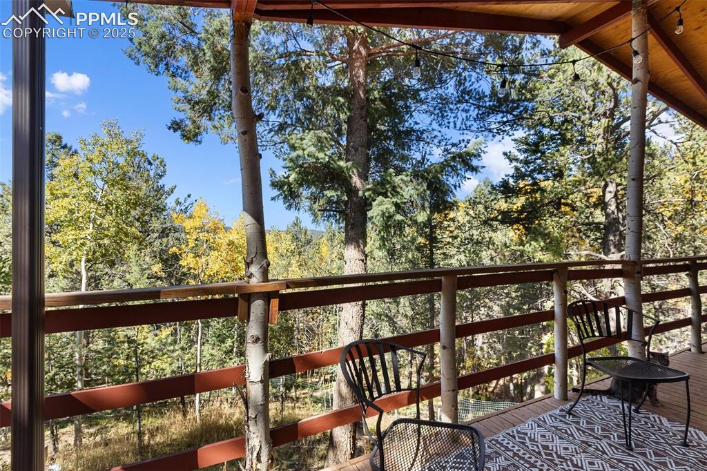 679 Calcite Drive Divide, CO 80814 - Photo 27 of 35