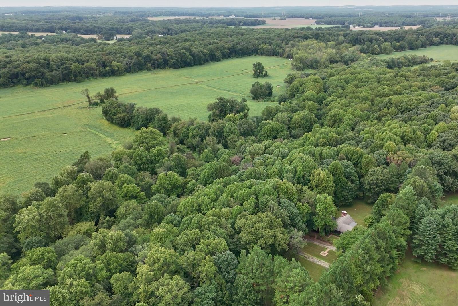 4915 Sundown Road Gaithersburg, MD 20882 - Photo 59 of 64 Home is carefully nestled on 15+ acre wooded lot.