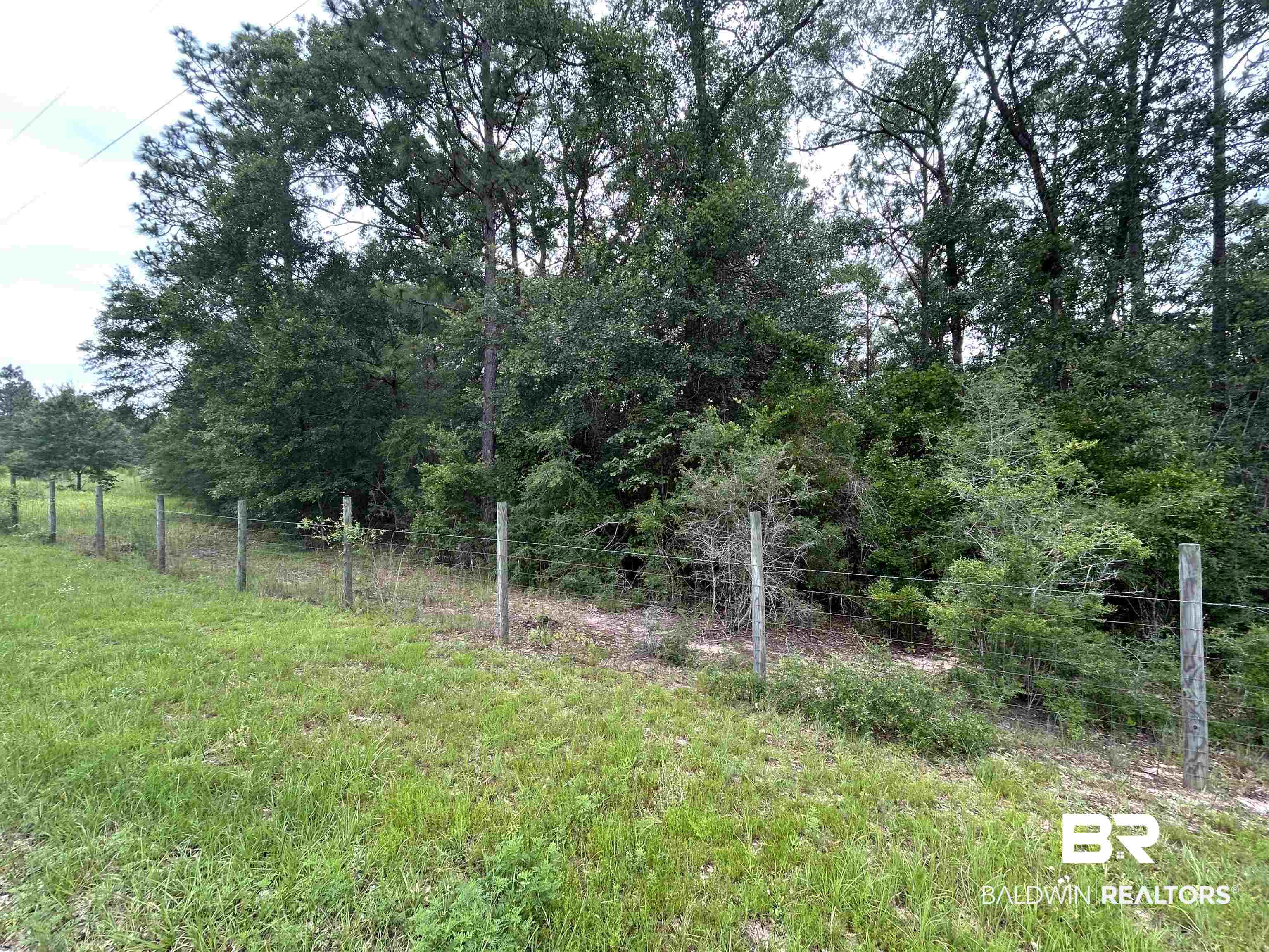 0 Hunters Trail Citronelle, AL 36522 - Photo 8 of 8 View of yard