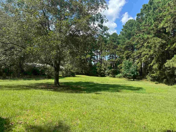 a view of a trees in a park