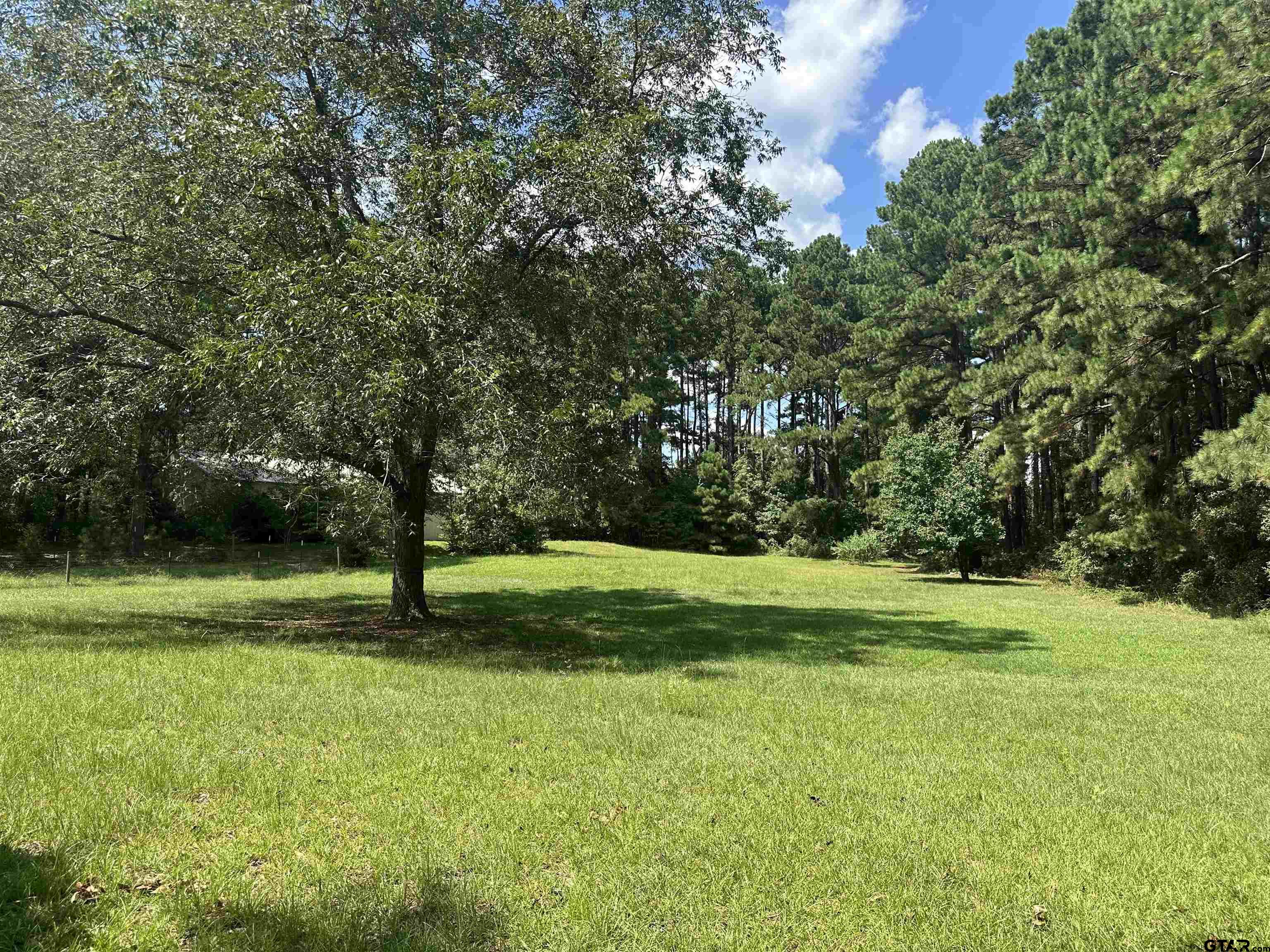 141 Meador Road Kilgore, TX 75662 - Photo 13 of 14 a view of a trees in a park