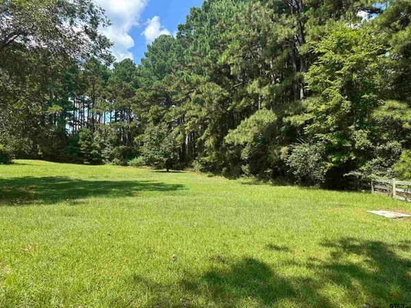 a view of a field with a trees