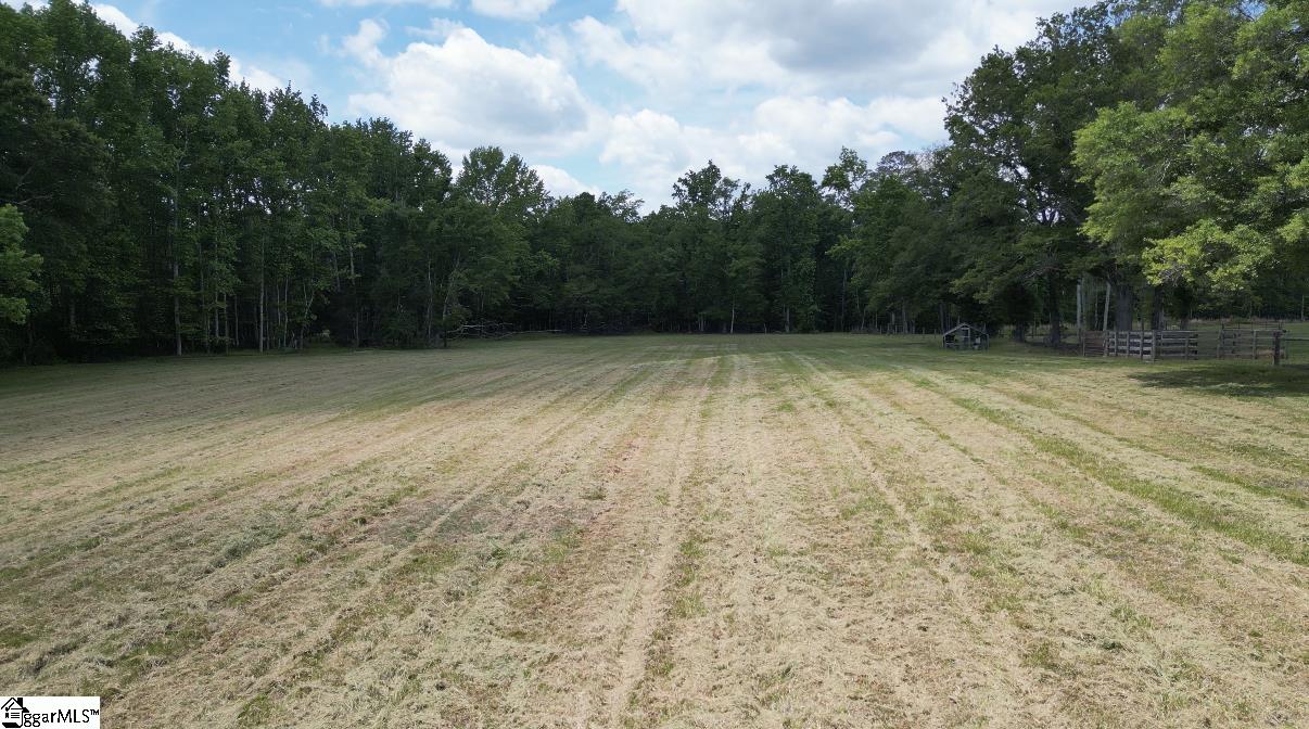 0 Greenpond Road Gray Court, SC 29645 - Photo 3 of 7 Gallery Image 3