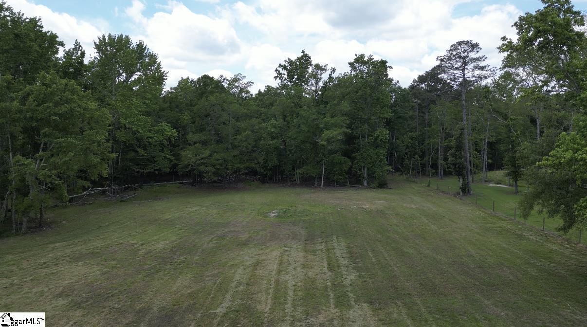 0 Greenpond Road Gray Court, SC 29645 - Photo 4 of 7 Gallery Image 4