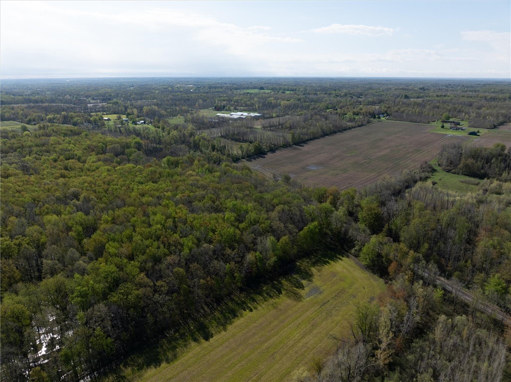 16126 Telegraph Road Murray, NY 14470 - Photo 20 of 50