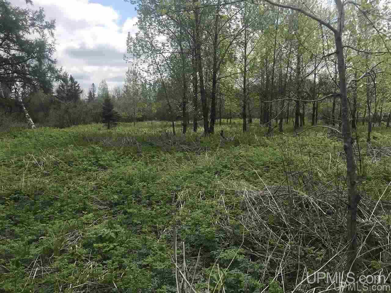 W1695 Co Road Felch, MI 49831 - Photo 12 of 50