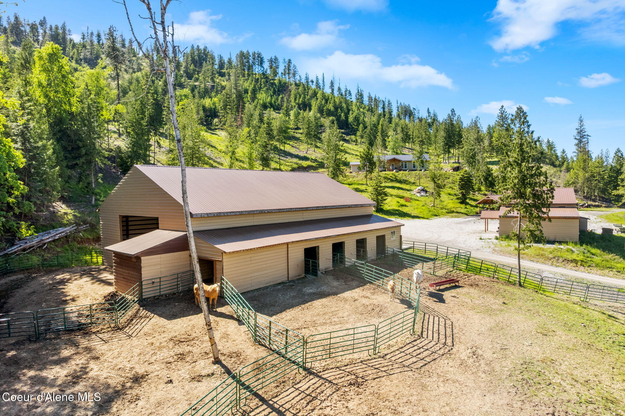 1446 Sagle Creek Road Sagle, ID 83860 - Photo 6 of 70 6-web-or-mls-1446 Sagle Creek-6