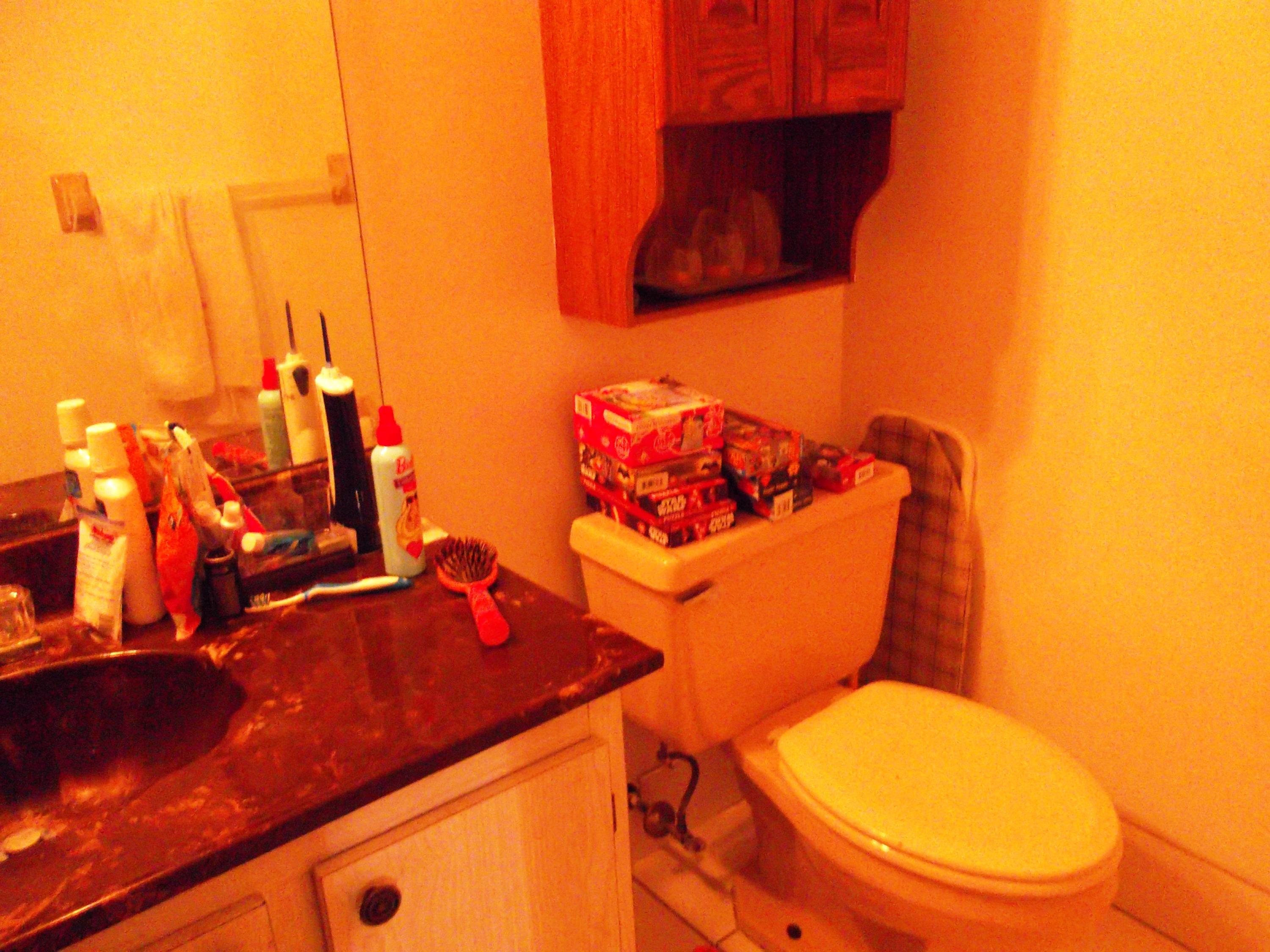 9410 Southwest 61st Way, Unit D Boca Raton, FL 33428 - Photo 5 of 22 DSCF1078