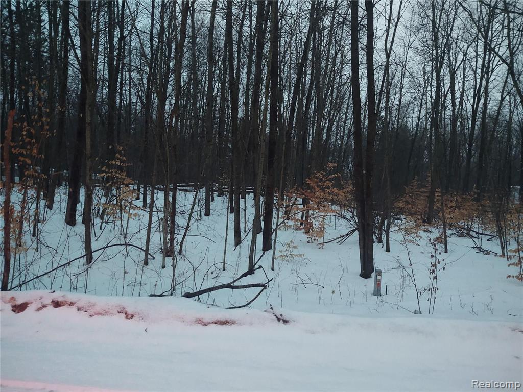 0 Fence Line Row Circle Leroy, MI 49655 - Photo 1 of 1
