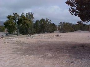 48 Fort Rock Road Seligman, AZ 86337 - Photo 1 of 1 Primary Photo