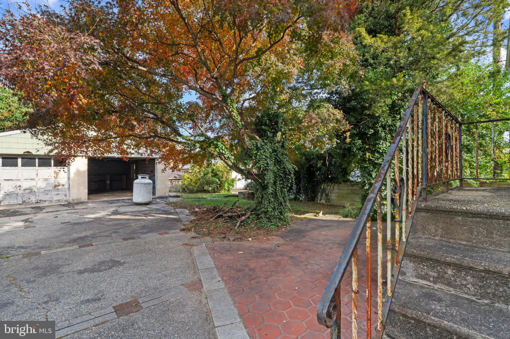 2908 Ailsa Avenue Baltimore, MD 21214 - Photo 24 of 29 a view of a house with a tree
