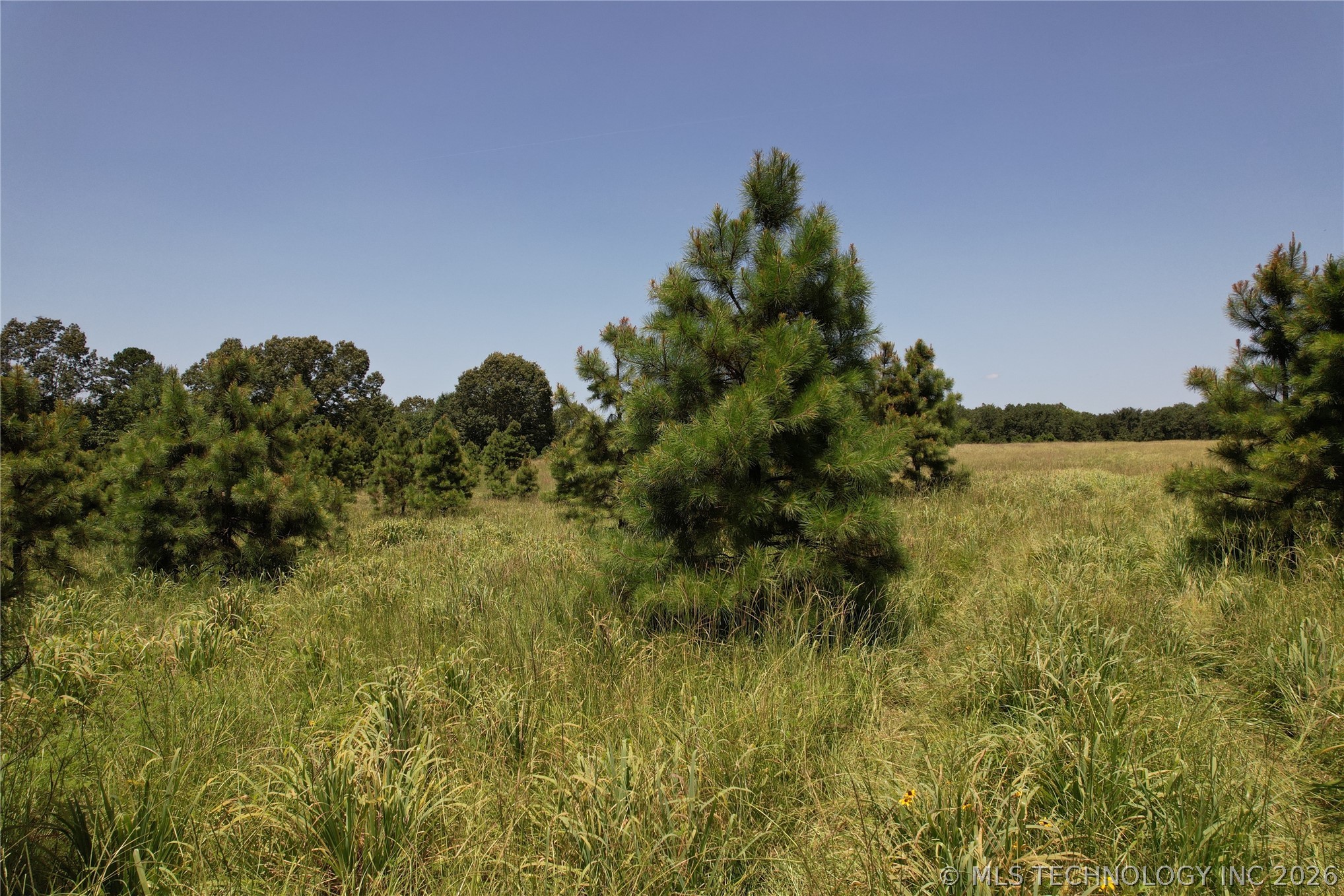 5 1960th Road Antlers, OK 74523 - Photo 34 of 56 Gallery Image 34