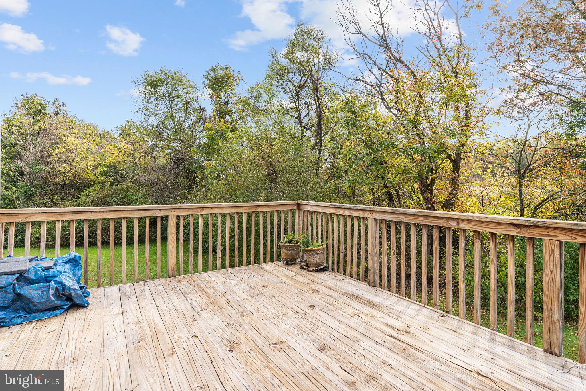 316 Buttonwoods Road Elkton, MD 21921 - Photo 22 of 23 Gallery Image 22