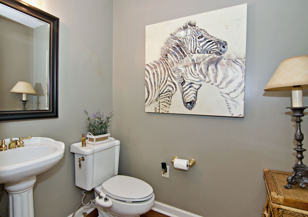 11001 Lake Ridge Lane Seneca, SC 29672 - Photo 47 of 50 Smooth walls and a pedestal sink define this charming powder room.
