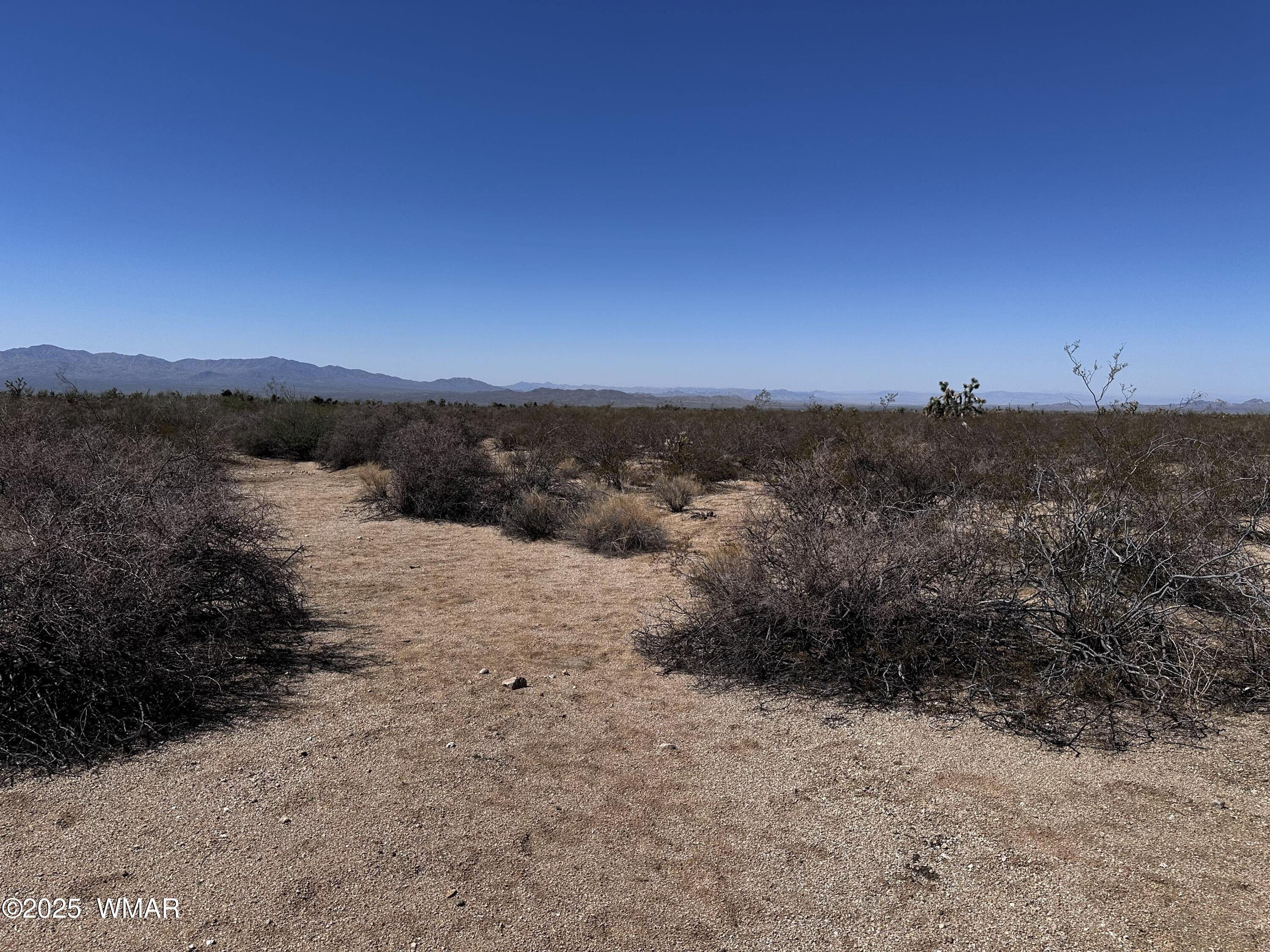 17404 South Jesse James Road Yucca, AZ 86438 - Photo 8 of 20 242-14-007