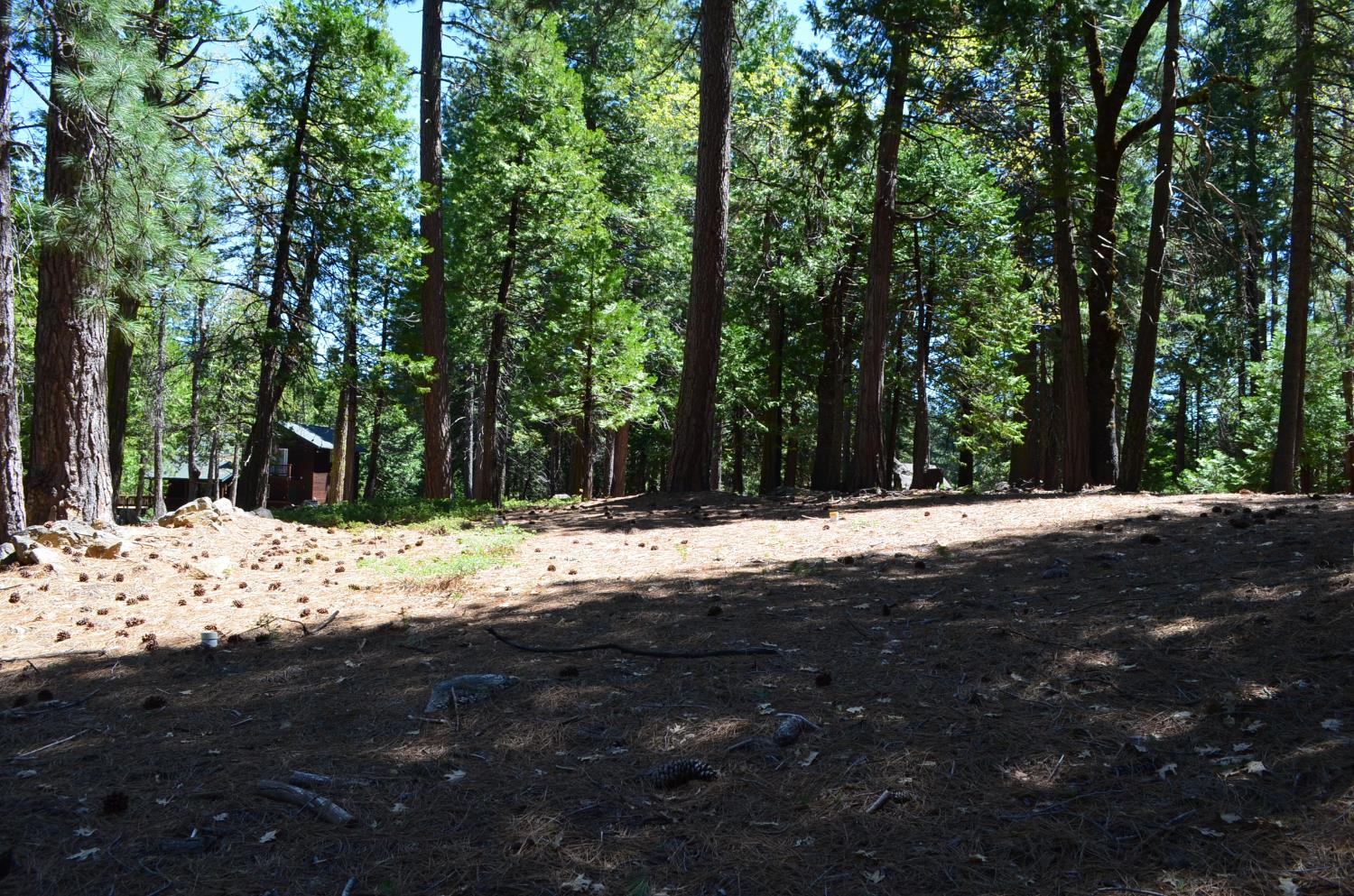 3112 Apache Road Arnold, CA 95223 - Photo 19 of 25 a view of a yard