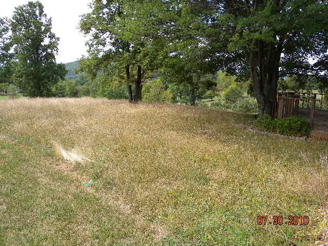 Back yard