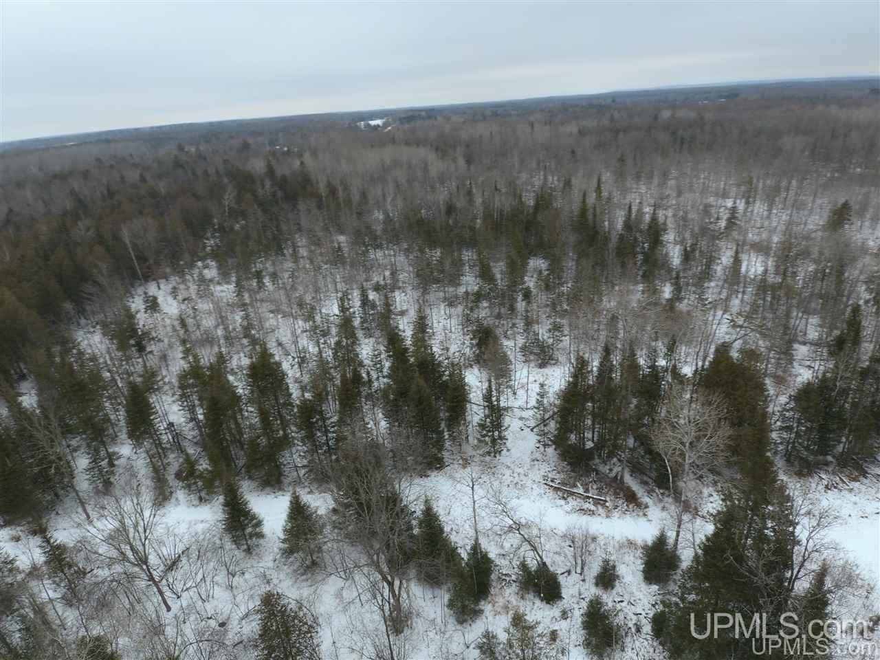 Tbd Winters/savola Road Trenary, MI 49891 - Photo 18 of 19
