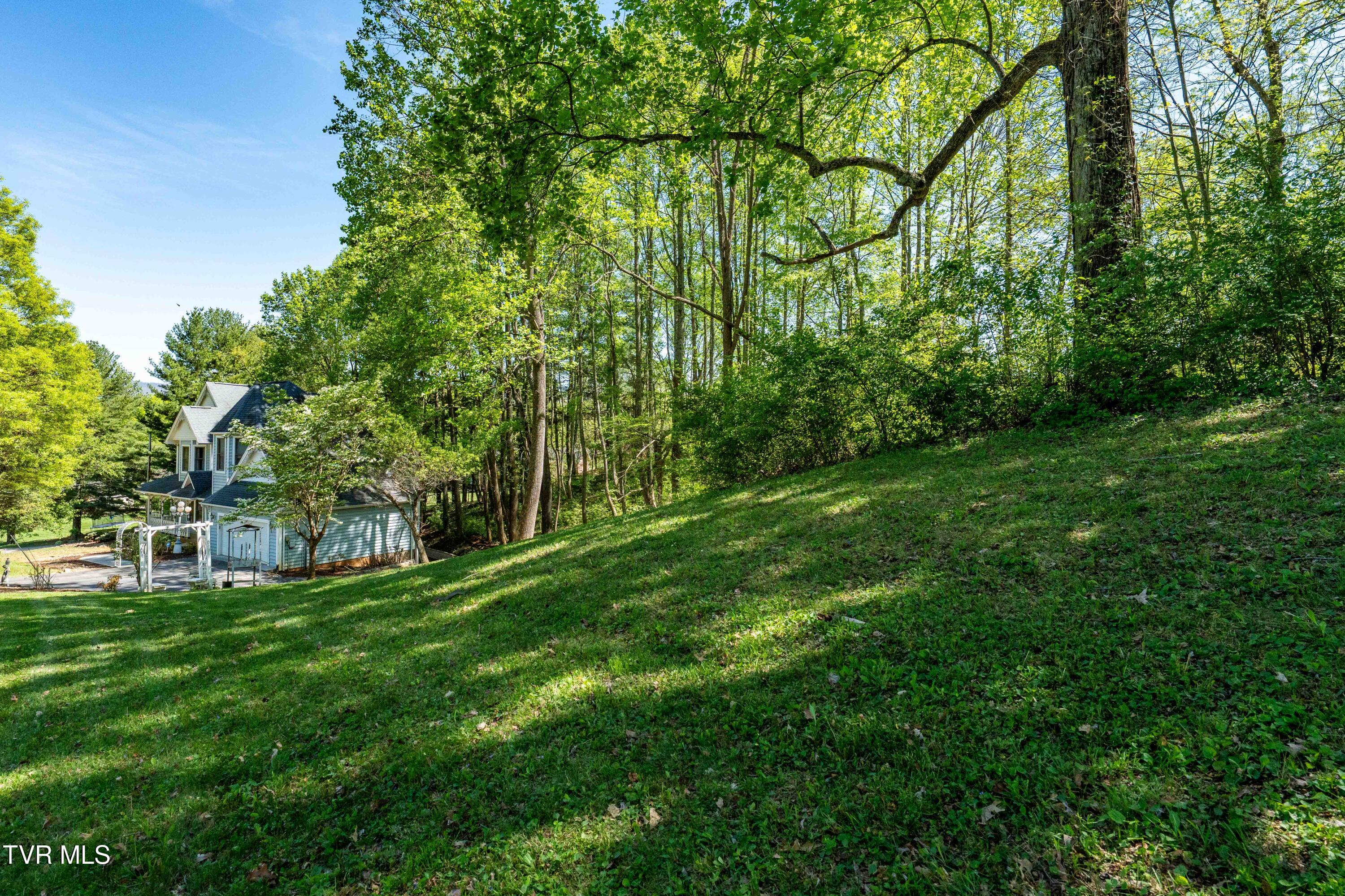 101 Knobb Hill Road Johnson City, TN 37601 - Photo 73 of 117 101 Knobb Hill Rd (61 of 118)