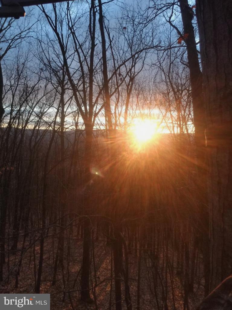 17 Reymann Drive Yellow Spring, WV 26865 - Photo 7 of 22 Beautiful Sunsets