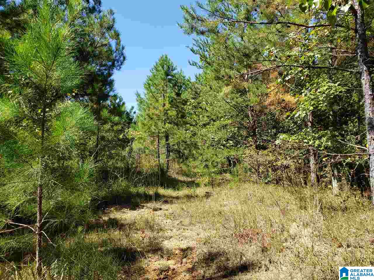 Lot 9 Redman Hall Road, Unit 1 Oneonta, AL 35121 - Photo 1 of 10