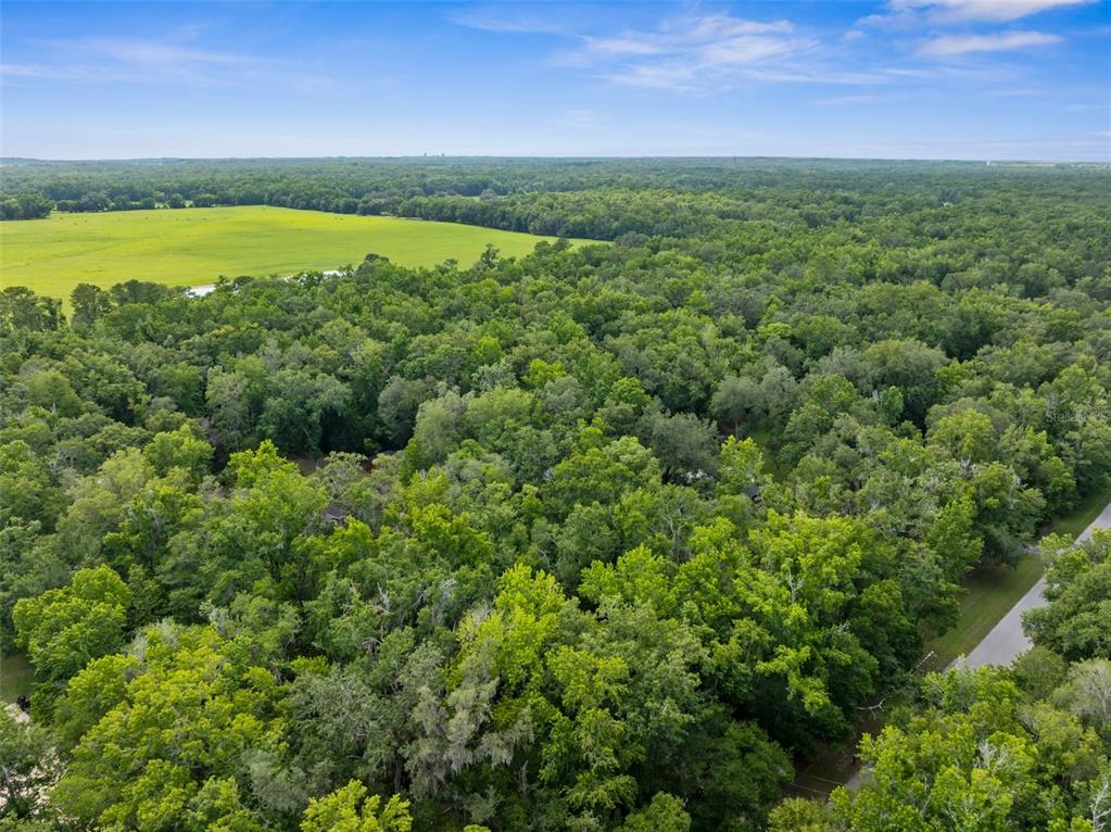 12085 Stringer Road Brooksville, FL 34601 - Photo 95 of 98