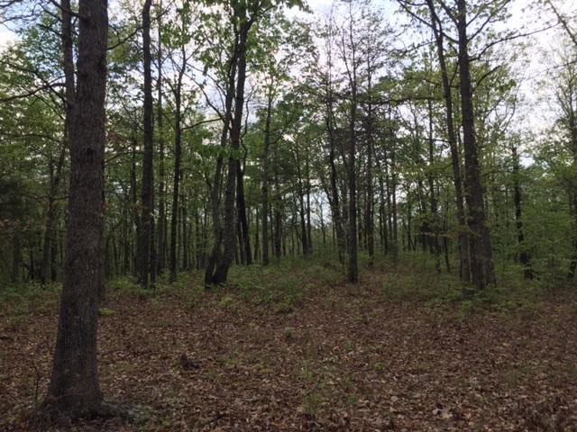48 Jackson Point Road, Unit 48 Sewanee, TN 37375 - Photo 1 of 12 IMG_4231