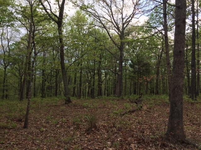 48 Jackson Point Road, Unit 48 Sewanee, TN 37375 - Photo 2 of 12 IMG_4233