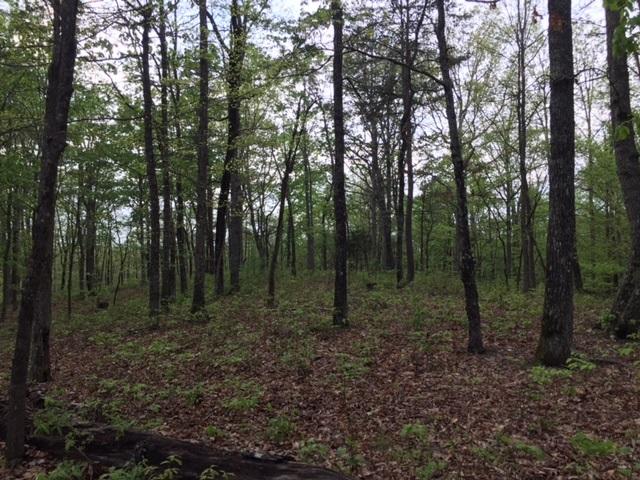 48 Jackson Point Road, Unit 48 Sewanee, TN 37375 - Photo 3 of 12 IMG_4235